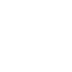 Zwei Euro Icon
