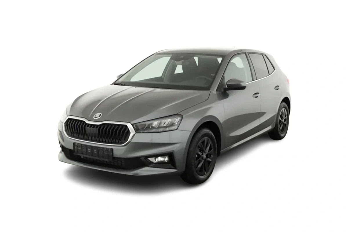 grauer Skoda Fabia