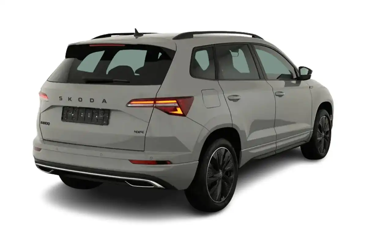 Skoda Karoq von hinten