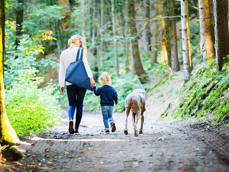 zu sehen ist eine Frau mit Kind und Hund im Wald